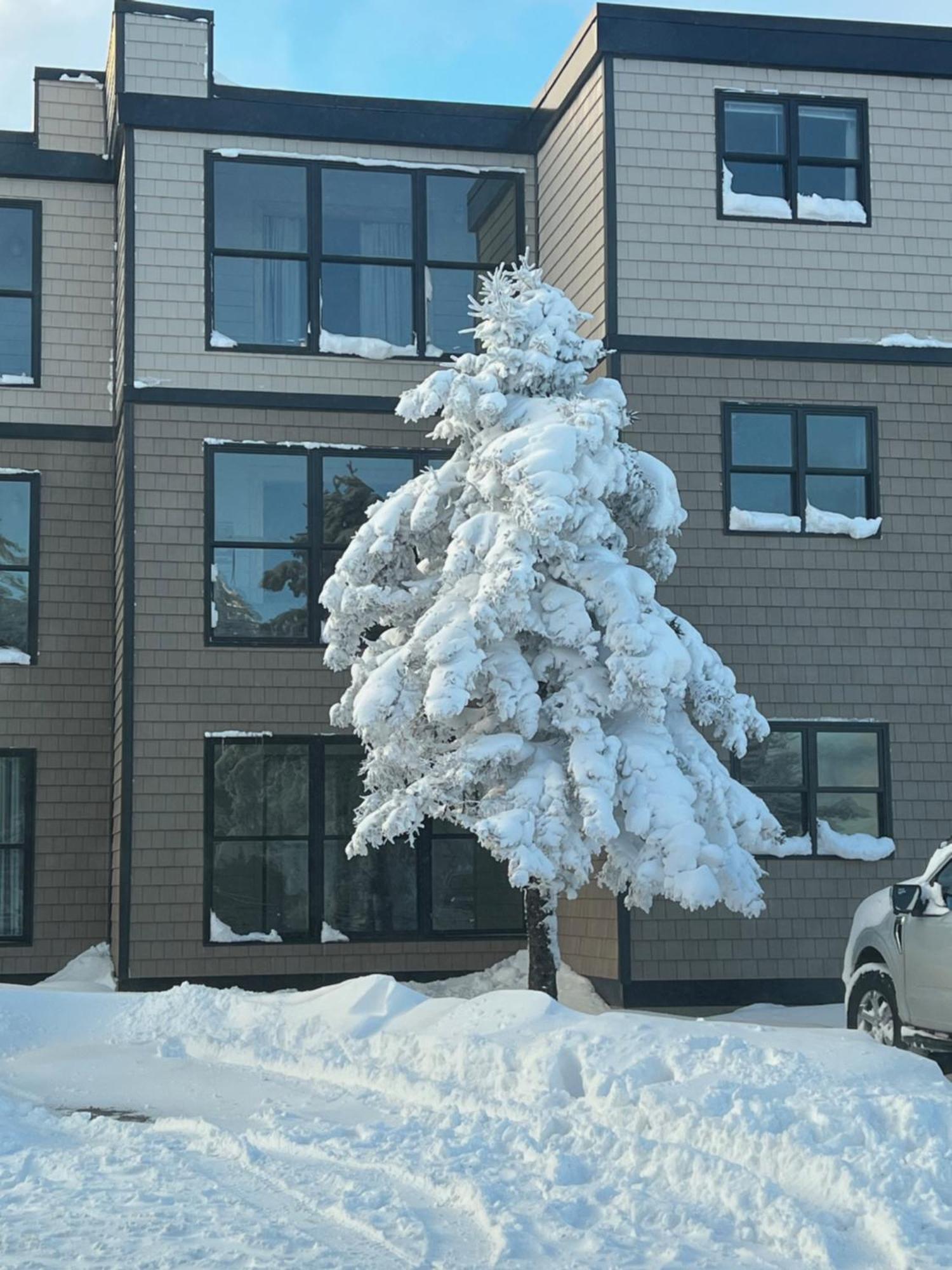 סנואושו Snowcrest Condo Walking Distance To Slopes מראה חיצוני תמונה